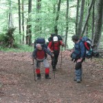 IMG_1153