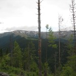 IMG_1165
