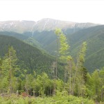 IMG_1168