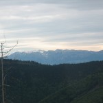 IMG_1175