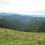 IMG_1192