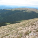 IMG_1203