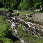 IMG_7884_resize_resize