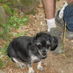 2012-06-30 12-40-37-Siriu