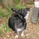 2012-06-30 12-41-43-Siriu