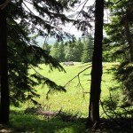 2012-06-30 14-44-44-Siriu