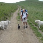 2012-06-30 16-04-31-Siriu
