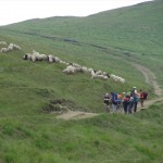 2012-06-30 16-09-20-Siriu
