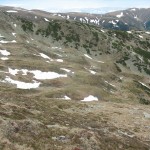 IMG_1224