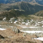 IMG_1254