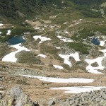 IMG_1255