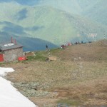 IMG_1278