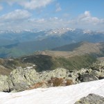 IMG_1311