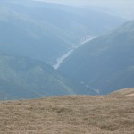 IMG_1330