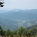 IMG_1556