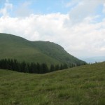 IMG_1575