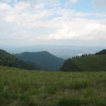 IMG_1577