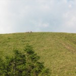 IMG_1590