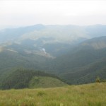 IMG_1603