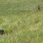 IMG_1625