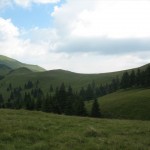 IMG_1643