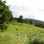 iesirea pe culmea casna