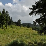 iesirea pe culmea crasnei