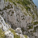 Creasta Craiului – Alex 094_resize