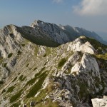Creasta Craiului – Alex 150_resize