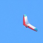 Postavaru Lupul cel Rau 5B 11 noi 2012 022