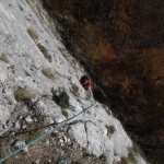 Postavaru Lupul cel Rau 5B 11 noi 2012 063