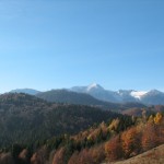 creasta generalului-Risnoave10-11.11.2012 048