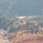 postavarul 10-11.2012 015