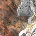 postavarul 10-11.2012 043