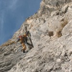 postavarul 10-11.2012 054