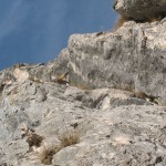 postavarul 10-11.2012 056